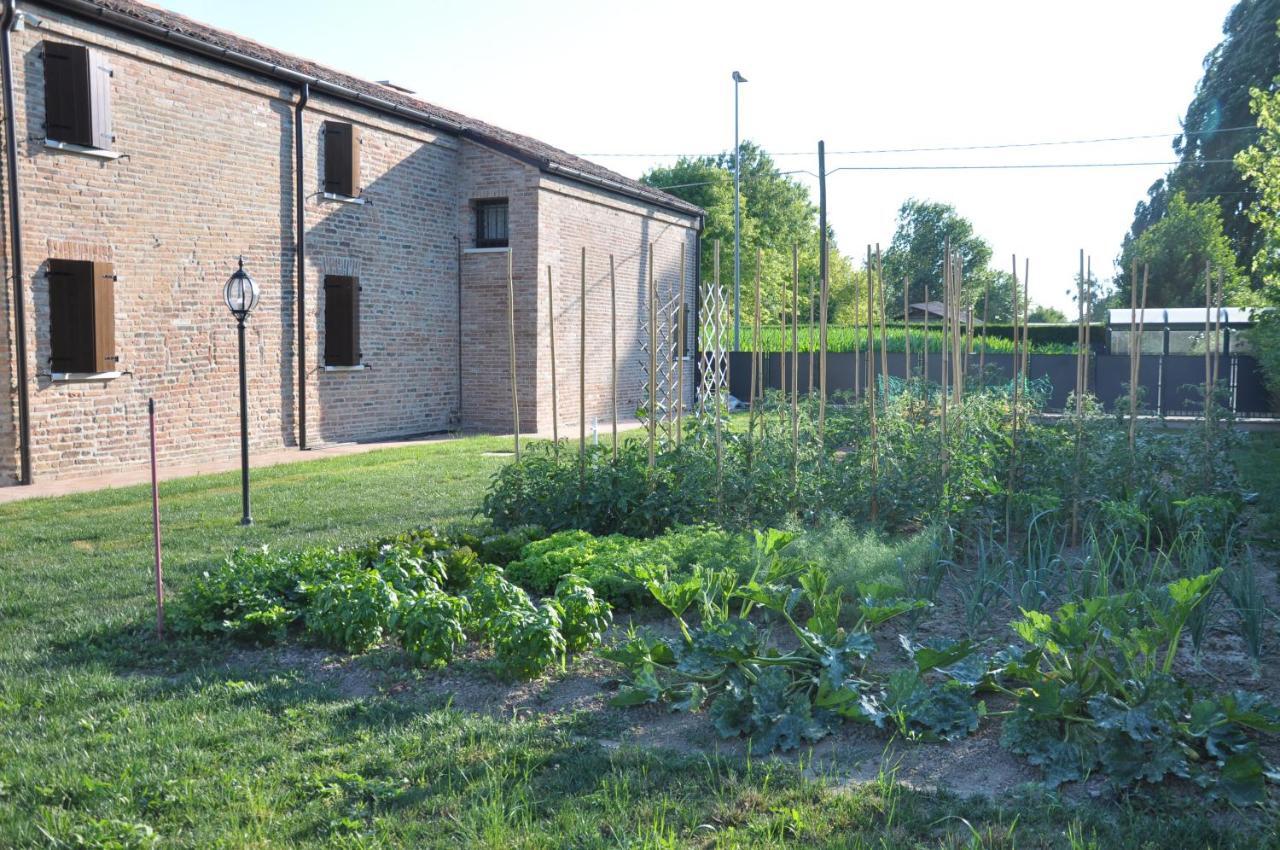 Ferienwohnung Casa Sansovino Pontecasale Exterior foto